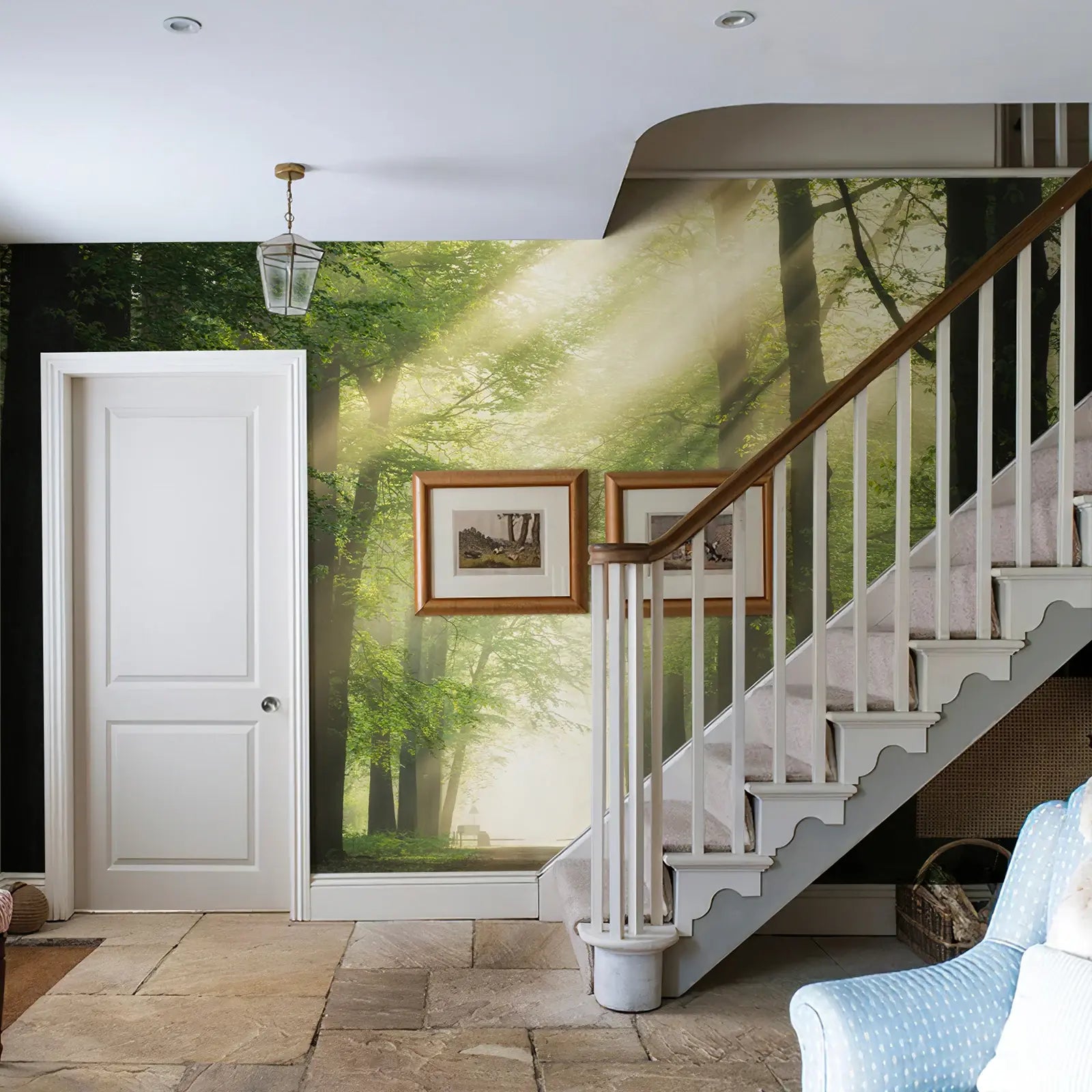 Tyndall effect sunlight and forest mural wallpaper